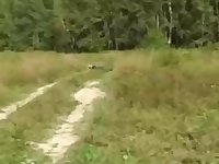 Russian girl is regularly having mischievous fuckfest in the nature, in the middle of the day